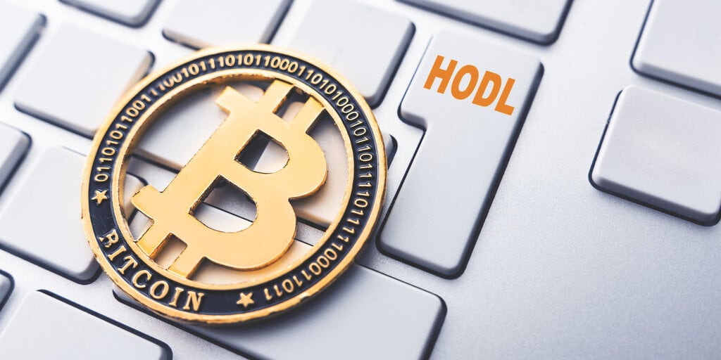 Long-Term Bitcoin Investors Have Returned To HODLing: Report
