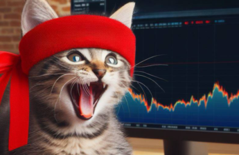 Lucky Timing? 'Roaring Kitty' Solana Meme Coin Skyrockets After GameStop Trader's Return