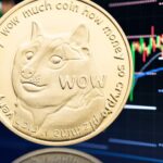 Trading Memes: Dogecoin Still Outperformed GameStop Over the Last Week