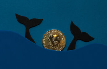 Bitcoin Whale