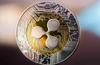 Ripple CEO Hails Latest Court Ruling ‘a Big Win’ — Calls His Lawsuit Baseless Troll Attempt