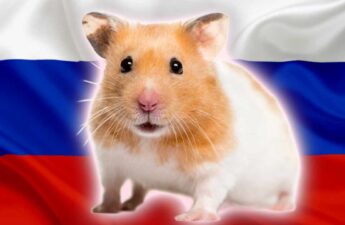 87% of Russians Aware of Cryptocurrency, 42% Familiar With Hamster Kombat, Survey Shows