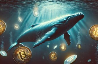 Cryptoquant Report: Bitcoin Whales Buy Aggressively as Price Hits 4-Month Low