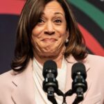 Democratic Congressman Has 'Good Indications' Kamala Harris Will Be Better on Crypto Than Biden