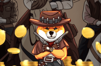 Is This the Next Shiba Inu? Shiba Shootout Launches ICO and Nears $500K