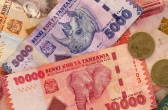 Tanzania Seeks to Shore up Local Currency With Directive Mandating Tourists to Use Shillings