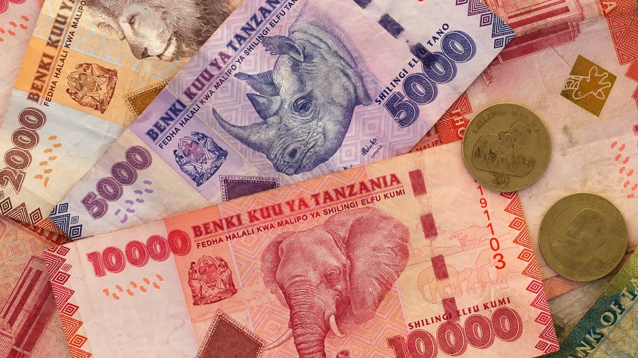 Tanzania Seeks to Shore up Local Currency With Directive Mandating Tourists to Use Shillings