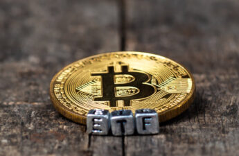 Bitcoin ETF Gains Spike, Setting Five-Week High as Fed Signals Rate Cuts Near