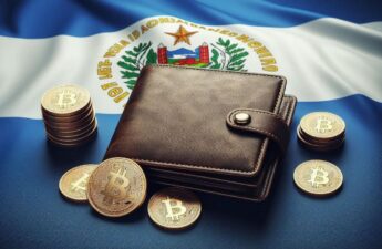 El Salvador’s Chivo Wallet Has Not Presented Any Financial Balances Since Its Creation