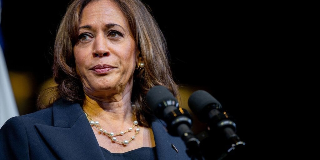 Kamala Harris Campaign Showing 'Concerted Effort' to Understand Crypto: Circle CEO