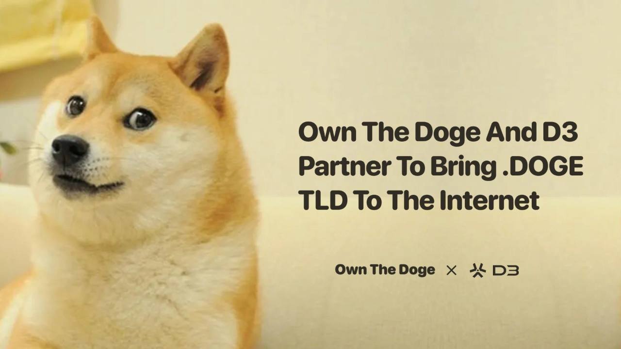 Own The Doge Partners With D3 To Apply For The .doge Top-Level Domain