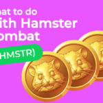 What to Do With Hamster Kombat Coin: Should You Sell HMSTR?