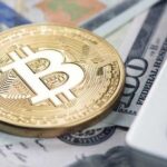 Bitcoin's Price Watch: A Critical Analysis