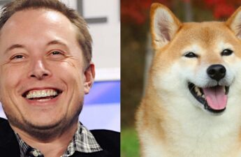 Dogecoin Pumps Following Elon Musk 'D.O.G.E.' Tweet