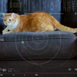 NASA Can Now Beam Cat Videos to Mars