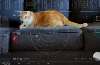 NASA Can Now Beam Cat Videos to Mars