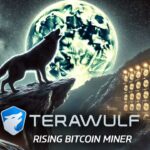 TeraWulf: Overview of a Rising Bitcoin Miner in 2024