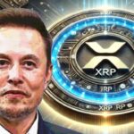 Tesla CEO Elon Musk Highlights XRP and Crypto Potential Amid Regulatory Heat