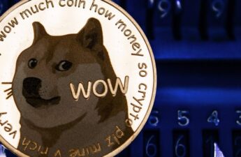 Bitcoin Strategic Reserve Could Happen. Why Not Dogecoin, Says Co-Founder