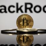 Blackrock Exec Debunks Bitcoin Myths: ‘It’s Not a Risk-on Asset’