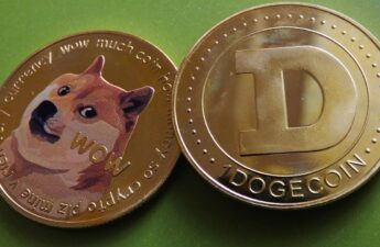 DOGE Nears 50 Cents as Meme Coins Dominate