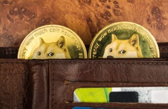 Dogecoin ETFs Aren’t as Crazy as They Sound, Analysts Say