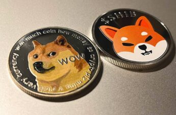 Dogecoin and Shiba Inu Pumping as Bitcoin Passes $75K, Flockerz Could Explode Next