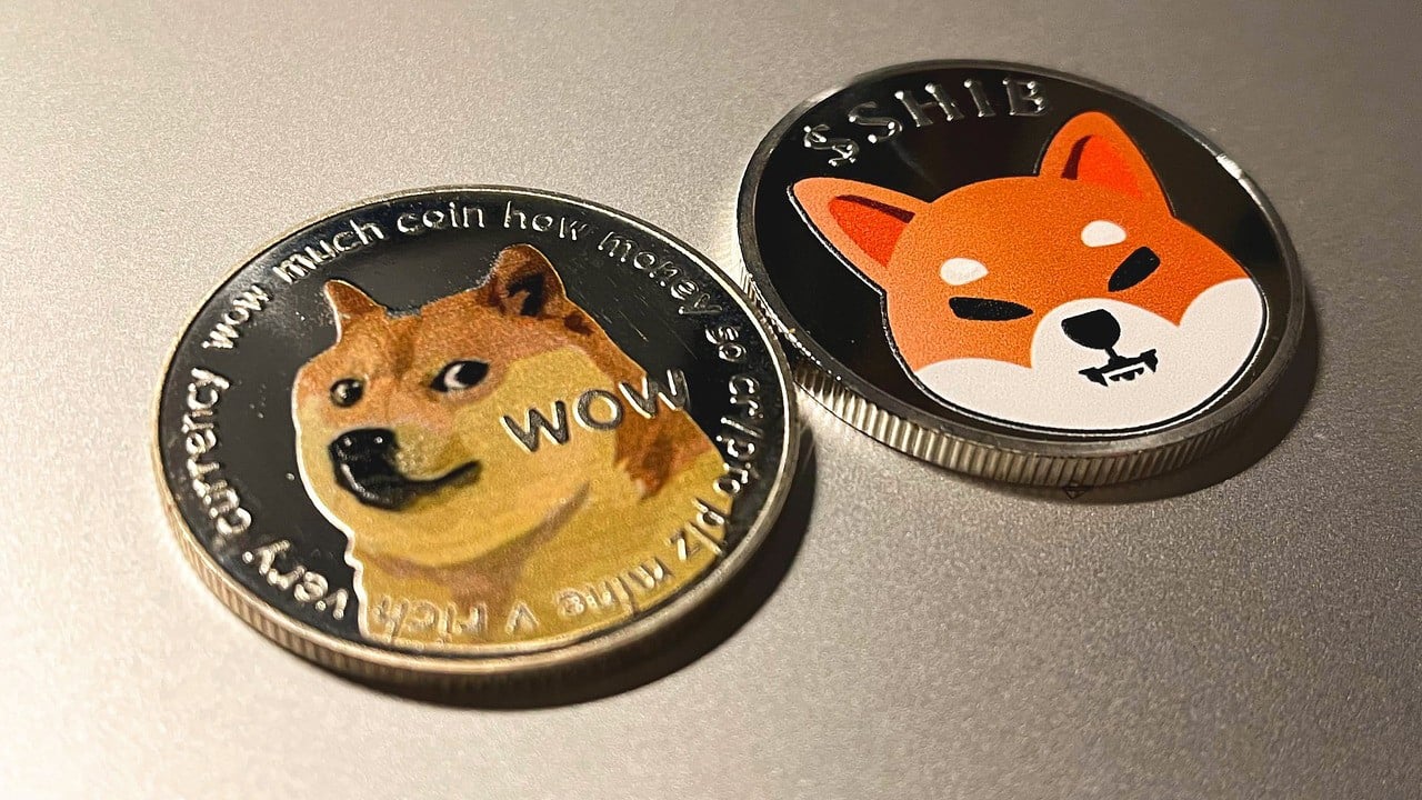 Dogecoin and Shiba Inu Pumping as Bitcoin Passes $75K, Flockerz Could Explode Next