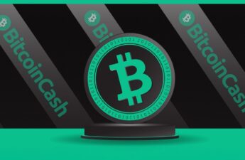 Community Fundraising Effort Launched to Secure Bitcoin Cash API Service