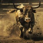 Crypto’s in Multi-Year Bull Market, and the Fed Can’t Stop It, Expert Says