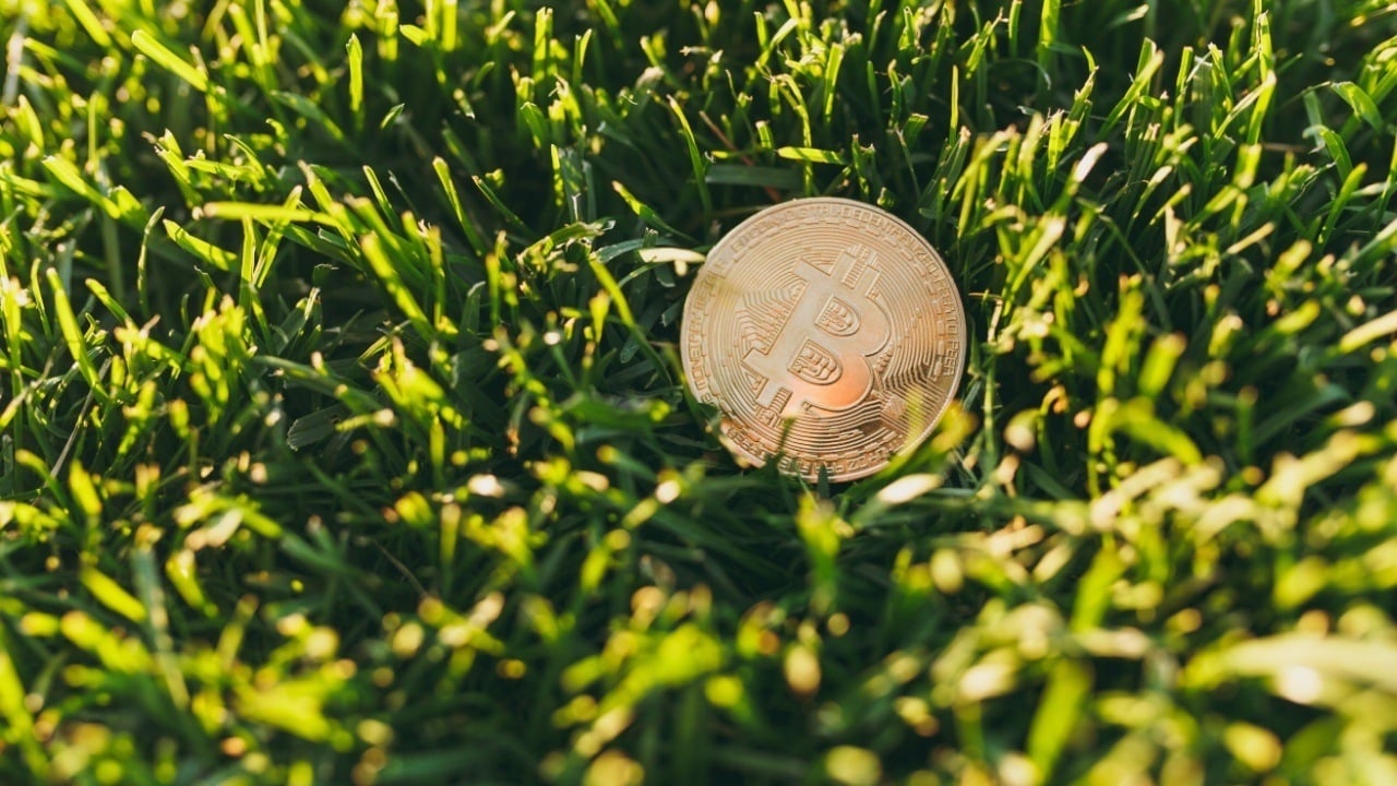 Exhausted? Hodl BTC and Touch Grass