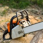 Milei Meets Musk: A Chainsaw Affair