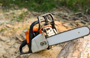 Milei Meets Musk: A Chainsaw Affair