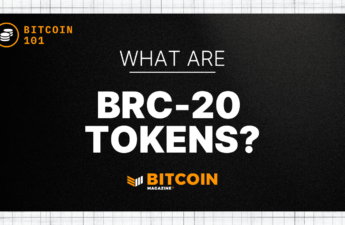 What Are BRC-20 Tokens? An Introduction