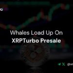 As XRP Price Turns Bullish, Ripple Whales Rush to Join XRPTurbo Presale as Over 80% of Softcap Filled in Just 7 Days