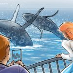 Bitcoin whales hint at $80K 'market rebound' as Binance inflows cool