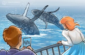 Bitcoin whales hint at $80K 'market rebound' as Binance inflows cool