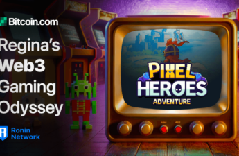 Pixel Heroes Adventure: A Retro MMORPG With a Web3 Twist